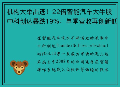 机构大举出逃！22倍智能汽车大牛股中科创达暴跌19%：单季营收再创新低
