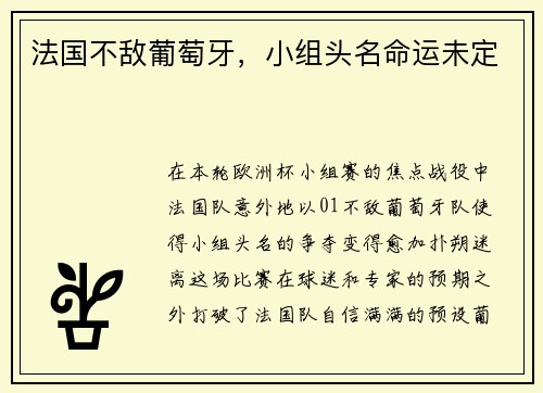 法国不敌葡萄牙，小组头名命运未定