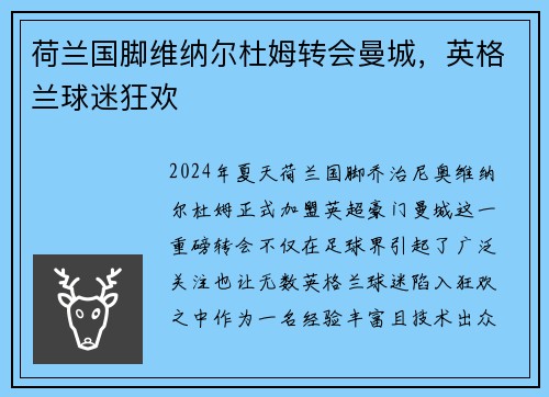 荷兰国脚维纳尔杜姆转会曼城，英格兰球迷狂欢