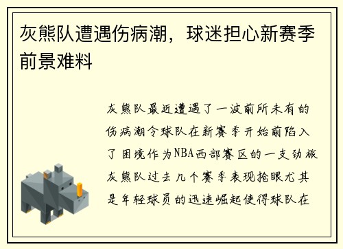 灰熊队遭遇伤病潮，球迷担心新赛季前景难料